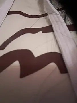 ValeriaOrtega online show from 04/14/26, 11:38