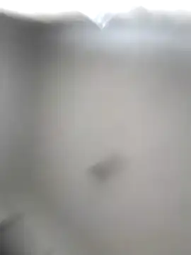 Snapshot of Godessofpleasxa chatting on 12/16/25, 08:19 Godessofpleasxa online show from 12/16/25, 08:19