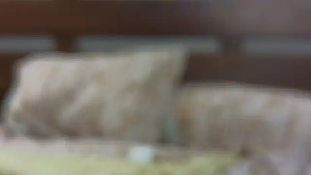 Snapshot of SallyCha chatting on 02/18/25, 12:15 SallyCha online show from 02/18/25, 12:15