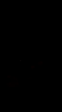 Snapshot of Raj41 chatting on 03/01/25, 05:05 Raj41 online show from 03/01/25, 05:05