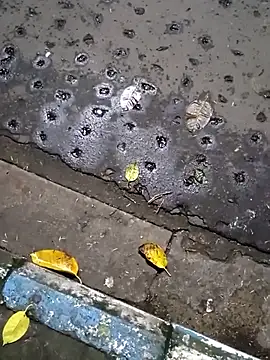 Snapshot of Raj41 chatting on 09/20/25, 01:45 Raj41 online show from 09/20/25, 01:45