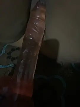 SL Aki online show from 04/14/26, 08:26