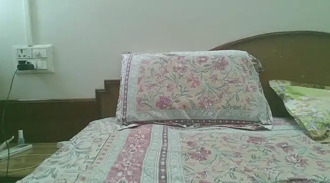 Snapshot of great_nam_par chatting on 01/25/25, 05:29 great nam par online show from 01/25/25, 05:29