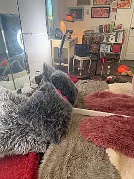 I am babydoll online show from 03/04/26, 12:49