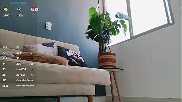 Snapshot of GerberaBlooms77 chatting on 03/11/25, 06:52 GerberaBlooms77 online show from 03/11/25, 06:52