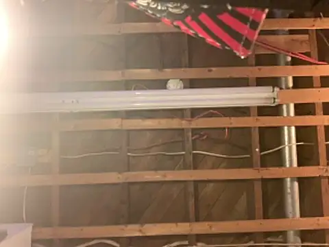 Pilote19 online show from 04/23/26, 07:16