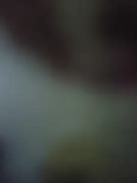 randit7 online show from 11/10/25, 04:22