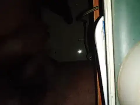 world bigdick1 online show from 02/14/25, 05:14