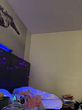 Snapshot of PhattPinxkTaco chatting on 01/23/25, 10:54 PhattPinxkTaco online show from 01/23/25, 10:54