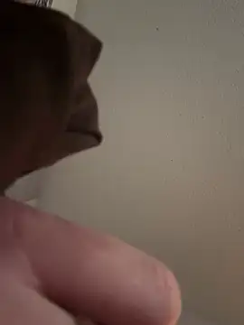 Snapshot of PhattPinxkTaco chatting on 03/13/25, 12:27 PhattPinxkTaco online show from 03/13/25, 12:27