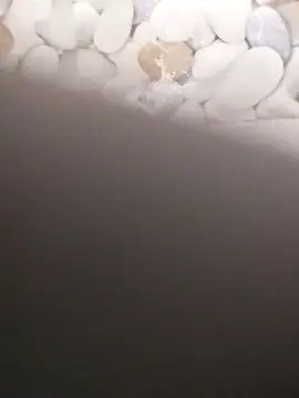 Playboy bhabhi 00 online show from 02/20/25, 07:23