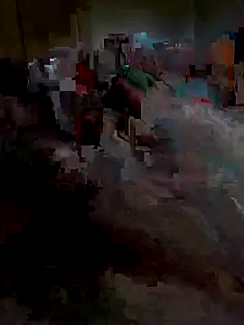 Ariba270 online show from 11/01/25, 09:55