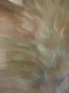 Santiago-Thompson online show from 01/26/25, 08:23