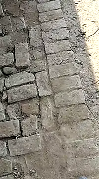 xmanrawan2 online show from 02/03/25, 07:18