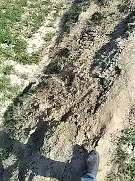 xmanrawan2 online show from 02/04/25, 07:29