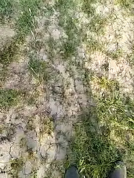 xmanrawan2 online show from 03/14/25, 11:34