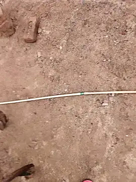 xmanrawan2 online show from 10/09/25, 07:50