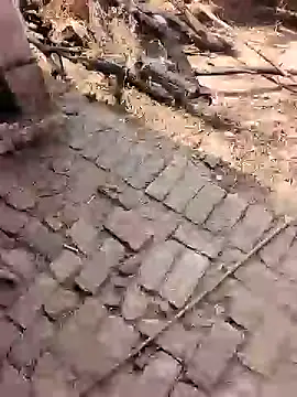 xmanrawan2 online show from 02/17/26, 07:16