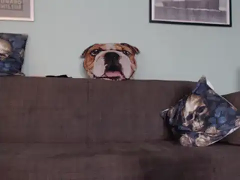 Astrid-Gilbert online show from 02/05/25, 11:12