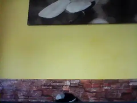 Snapshot of sexy_lady2 chatting on 02/17/25, 10:07 sexy lady2 online show from 02/17/25, 10:07