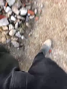 66MA69 online show from 01/31/25, 05:32