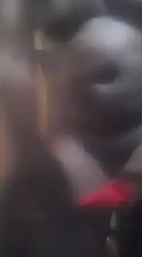 Snapshot of ratolakasexyx chatting on 01/31/25, 12:07 ratolakasexyx online show from 01/31/25, 12:07