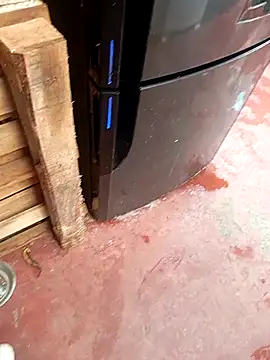 HotC1991 online show from 01/12/26, 03:17