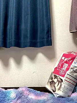 PINO pino 01 online show from 11/24/25, 05:45