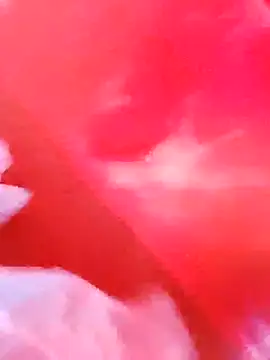 dominationmybigdick online show from 12/03/25, 09:51