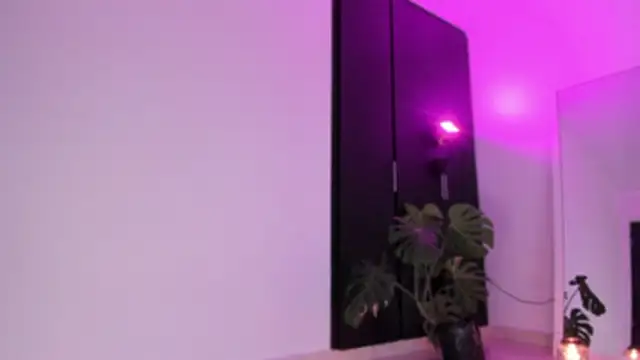 ggor4w33 online show from 02/21/26, 02:56