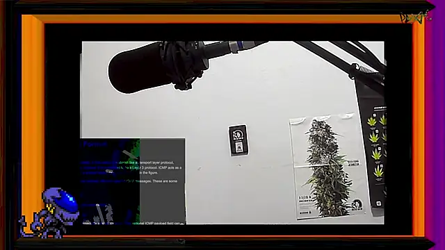 ReyDeBotones online show from 03/13/25, 11:38