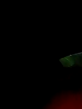 Snapshot of ginger_1_1 chatting on 03/18/25, 12:38 ginger 1 1 online show from 03/18/25, 12:38