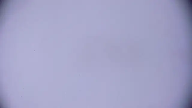 Ashlyaurora online show from 03/20/25, 07:58