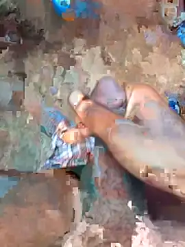 cumcum94 online show from 04/21/26, 05:25