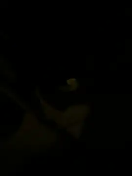 sark0606 online show from 02/06/25, 04:58