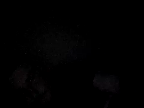 Foxtrott 242 online show from 09/08/25, 11:48