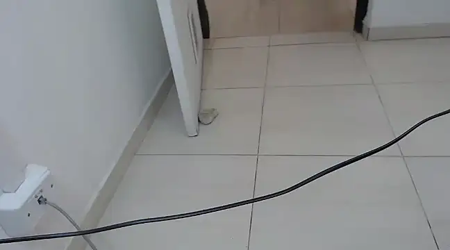 StormyWets Bluk online show from 03/11/25, 07:36