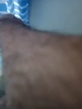 Snapshot of bigcockturk3 chatting on 03/15/25, 08:10 bigcockturk3 online show from 03/15/25, 08:10