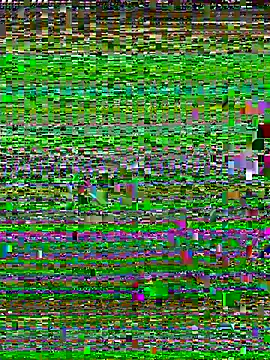 Uncleuncutmushroom online show from 07/14/26, 07:57