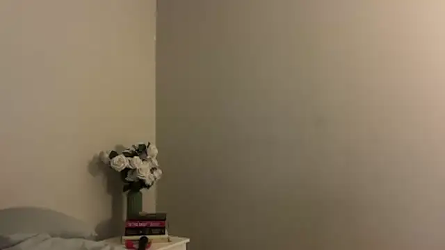 skyejde online show from 11/28/25, 04:31