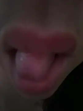 daianaspencer online show from 04/13/26, 06:08