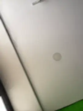 Dulce  Boyd online show from 02/17/26, 02:02