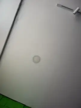 Dulce  Boyd online show from 04/08/26, 02:17