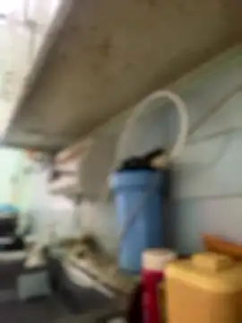 Carola-Ross online show from 01/06/26, 04:32