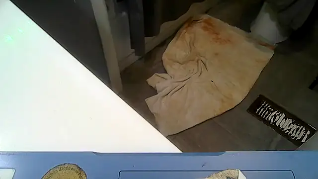 ShysluutGia online show from 04/23/26, 06:54