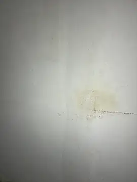 Hamza-Maroki online show from 11/20/25, 09:36