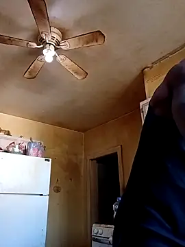 birdg online show from 11/12/25, 06:41