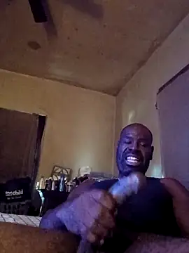 birdg online show from 11/13/25, 06:18