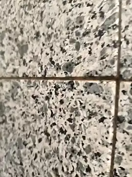 henri69 online show from 02/24/26, 02:42