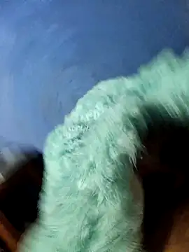 Caing23 online show from 02/27/26, 03:17